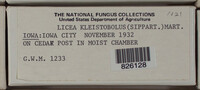 Image Associated With the Occurence